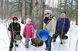 kids helping with maple sap